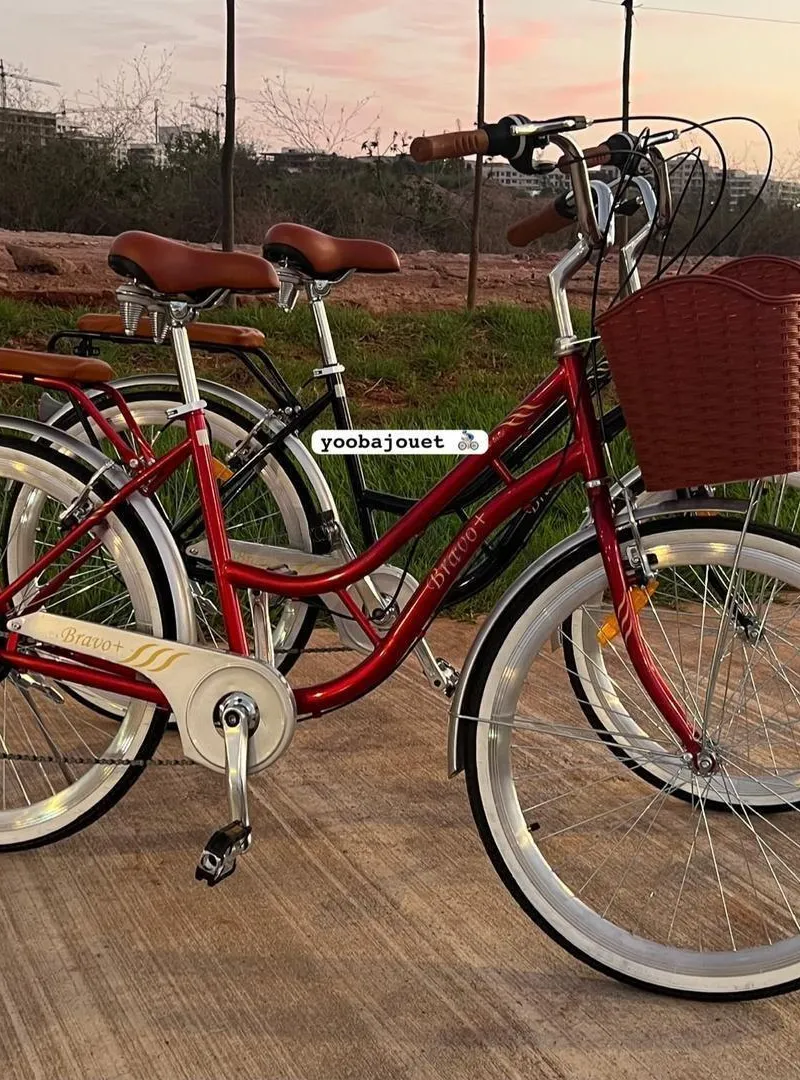 Vélo Madame Classique BRAVO 26 Pouces