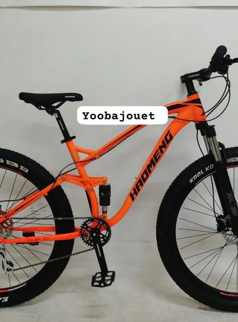 VÉLO ENDURO XC800 ALUMINIUM HAOMENG 29 Pouce