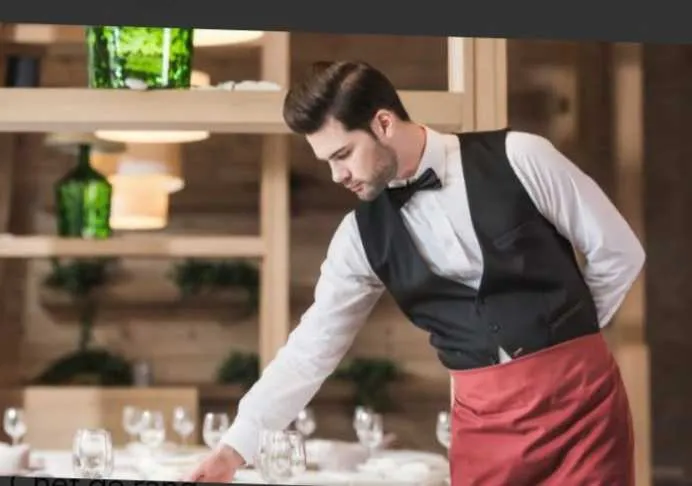 Cherche travail serveur expérimenté
