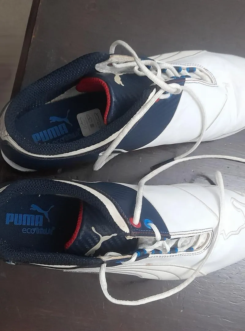 Puma BMW Future Cat 40.5 Original