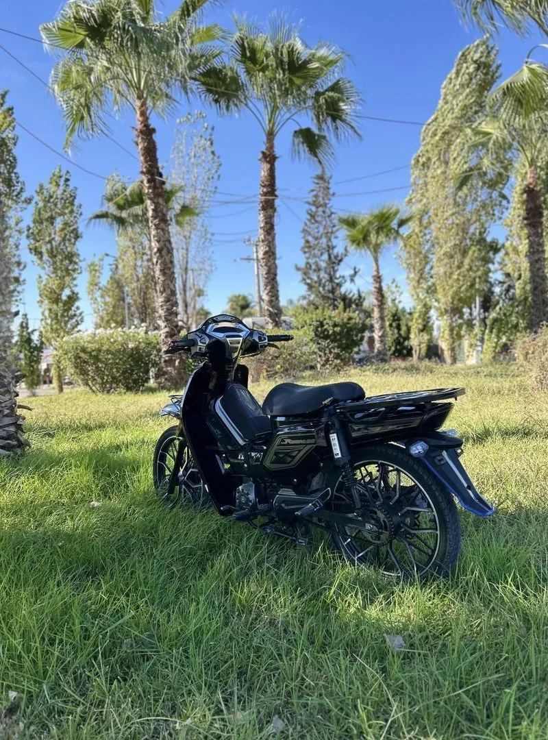 Moto 33