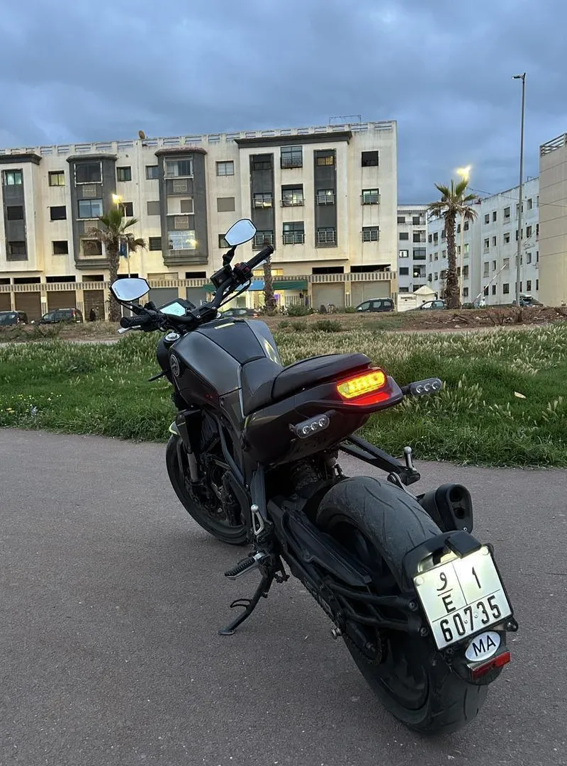 Benelli Leoncino 250