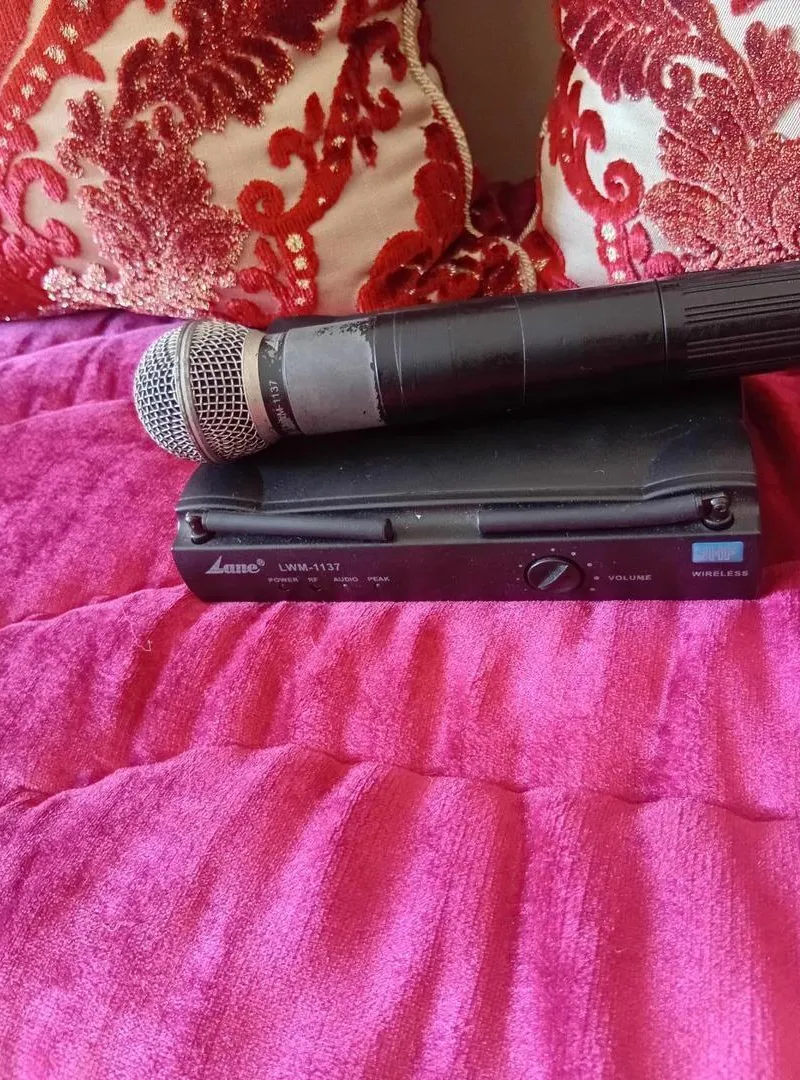 Microphone Sane fil bon état