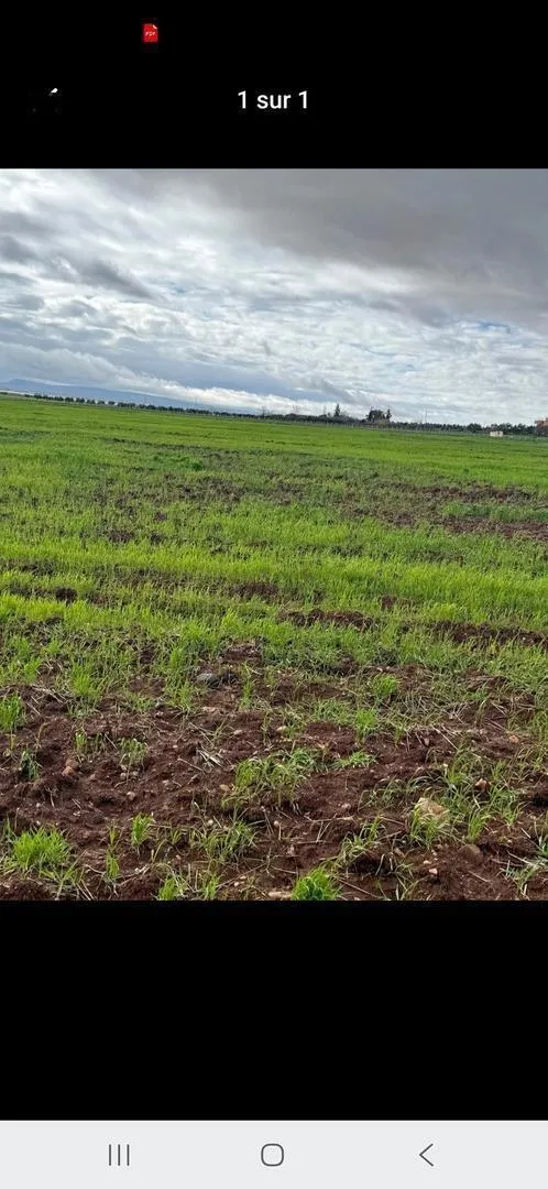 Terrain agricole à vendre, enregistré et titré, 6 hectares