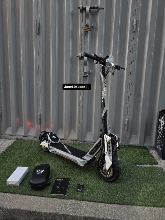 TROTTINETTE ECOXTREM BISON WOLF 2027