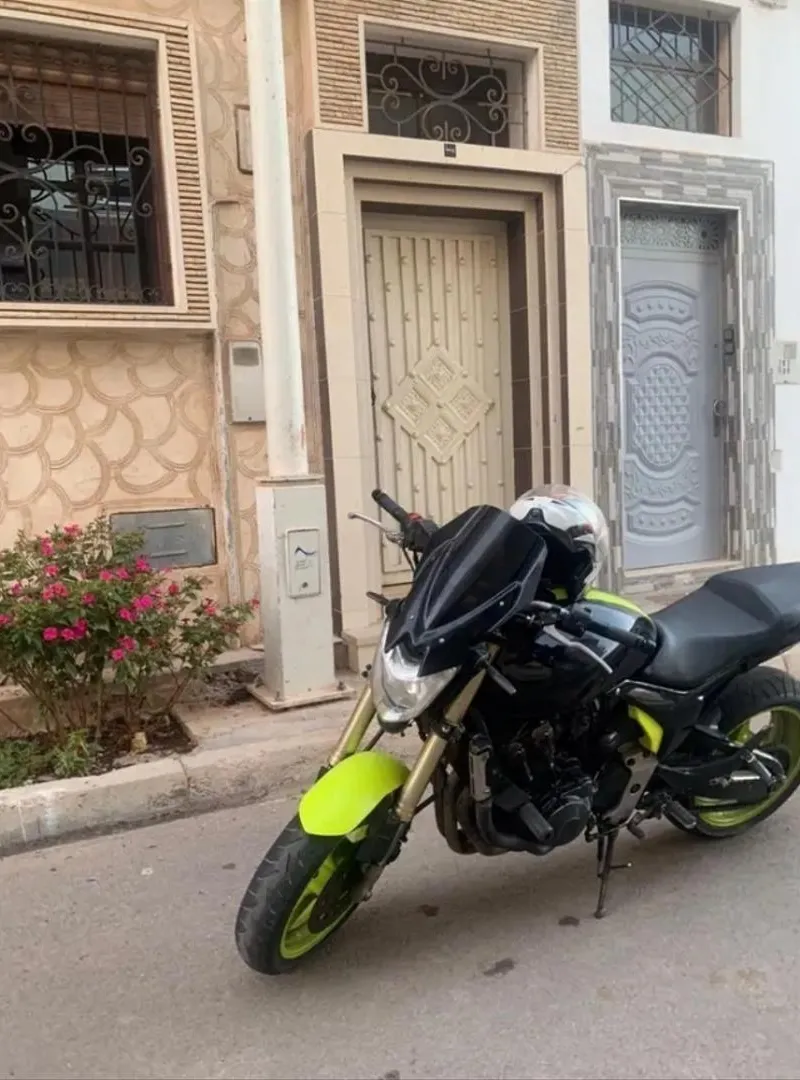 Honda Hornet