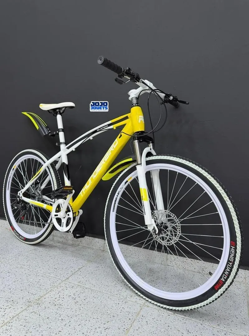 Vélo en excellent état