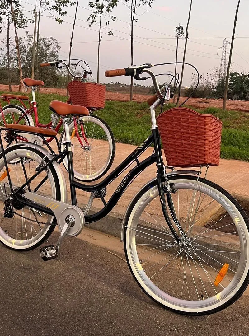 Vélo élégant