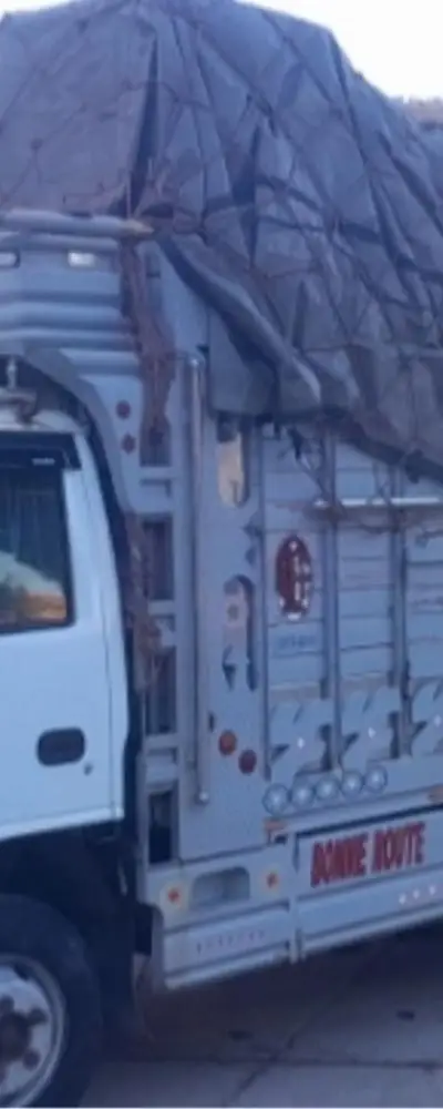 Déménagement et transport de marchandises - Rabat Salé Témara