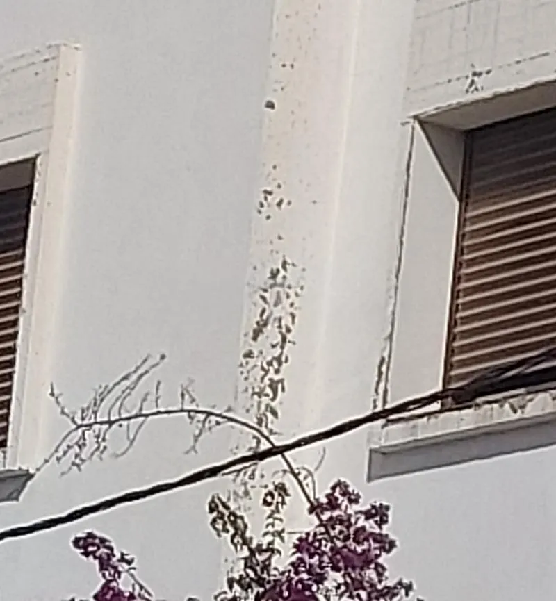 Appartement à louer et caution