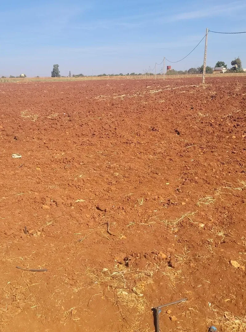 Excellente terre agricole à vendre en périphérie de Meknès