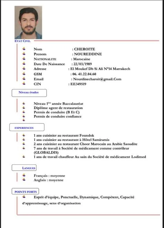 Chauffeur professionnel expérimenté cherche emploi